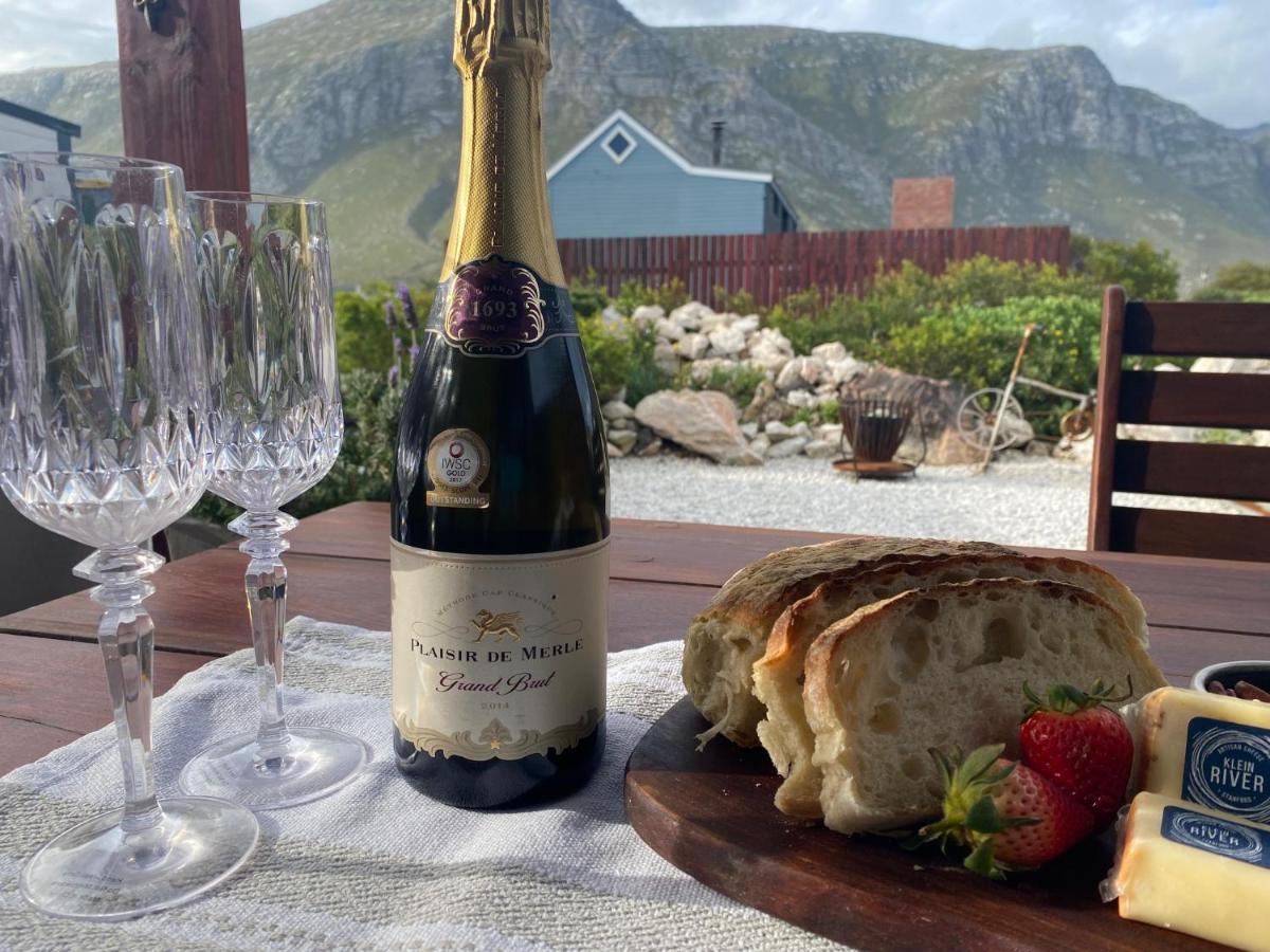 Hidden Stream Cottage Bettyʼs Bay 외부 사진